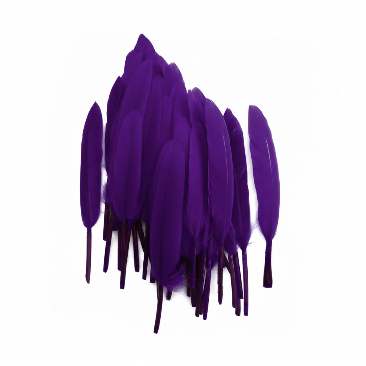 Plumas Morado Oscuro 10-15 cms 50 uds