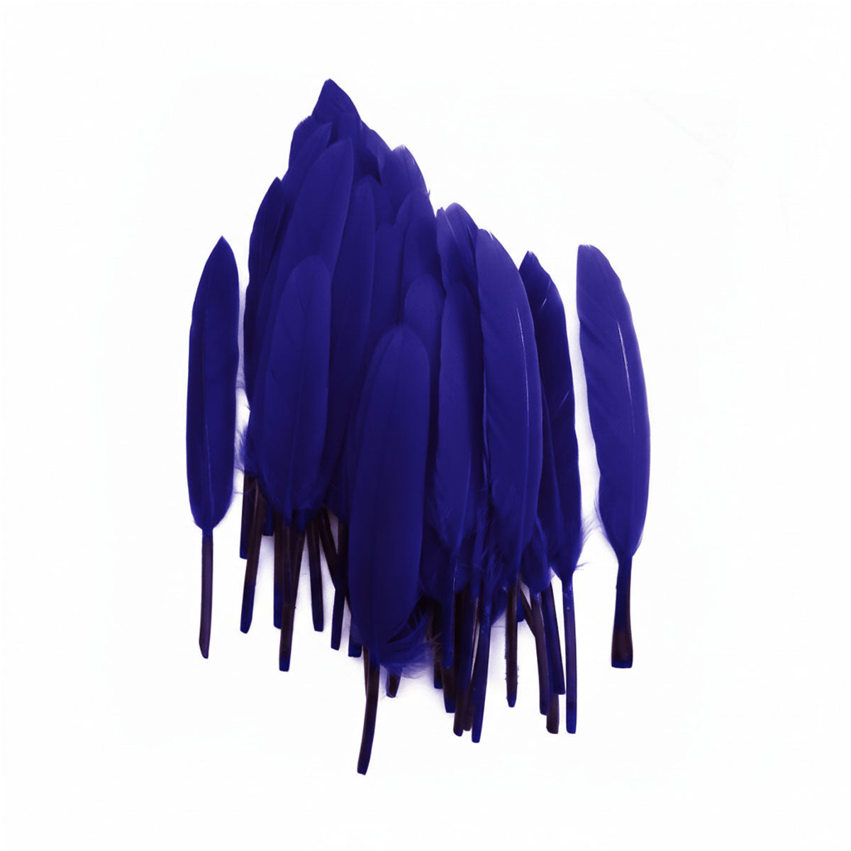 Plumas Azul 10-15 cms 50 uds