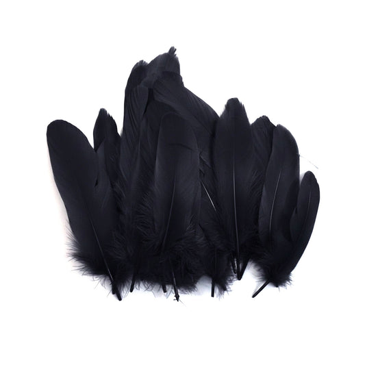 Plumas M02 Negro 10-16 cms 50 uds