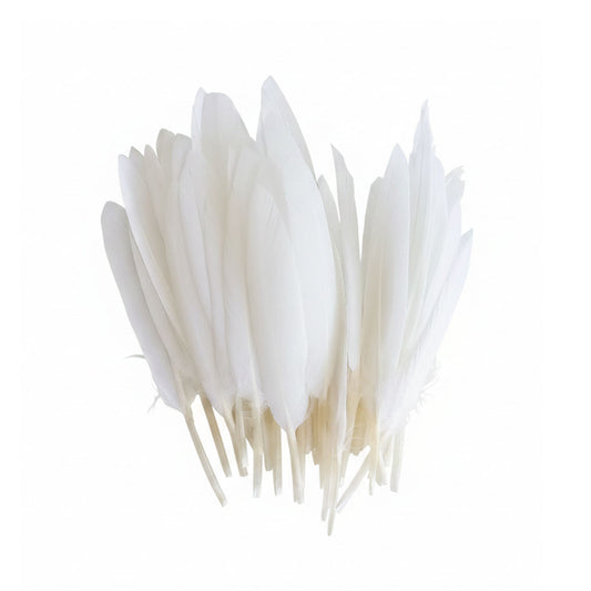 Plumas Blanco 10-15 cms 50uds