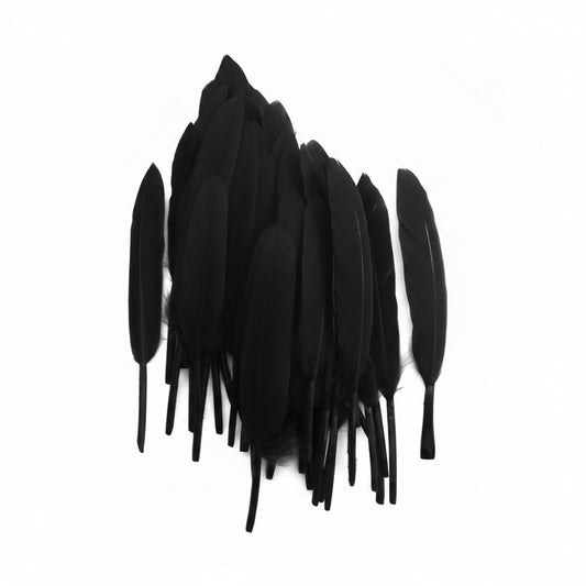 Plumas Negro 10-15 cms 50 uds