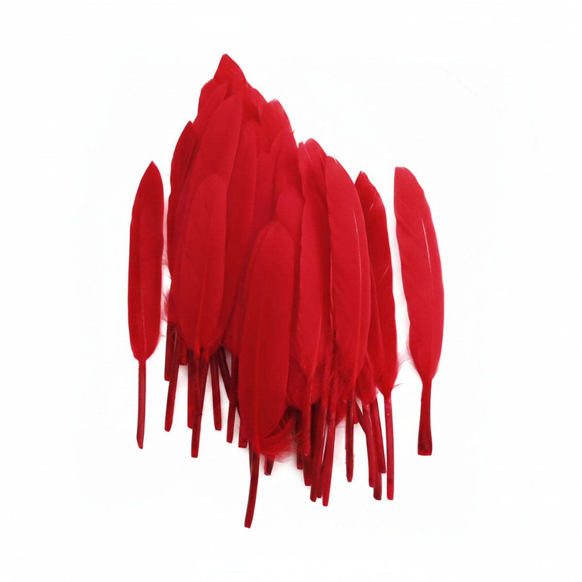 Plumas Rojo 10-15 cms 50uds